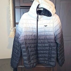 Holister Winter Jacket Mens Medium